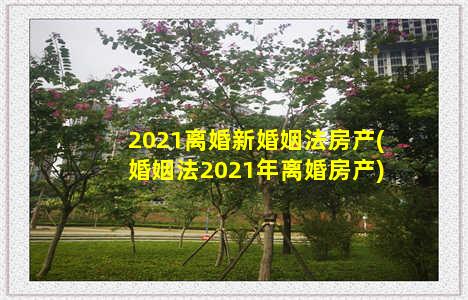 2021离婚新婚姻法房产(婚姻法2021年离婚房产)