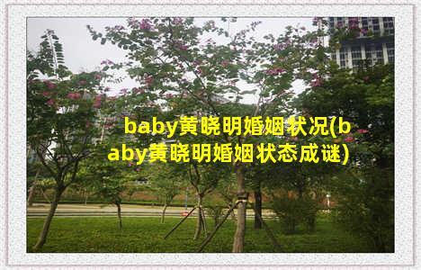 baby黄晓明婚姻状况(baby黄晓明婚姻状态成谜)