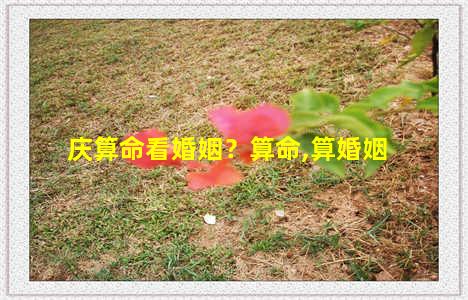 庆算命看婚姻？算命,算婚姻