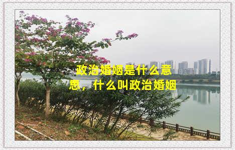 政治婚姻是什么意思，什么叫政治婚姻