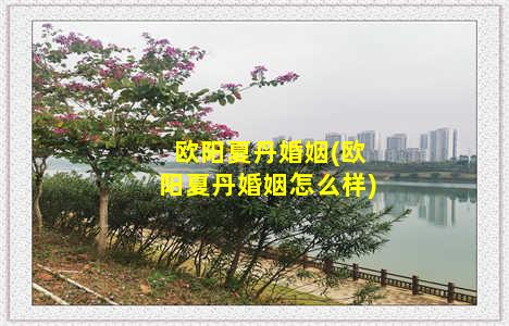 欧阳夏丹婚姻(欧阳夏丹婚姻怎么样)